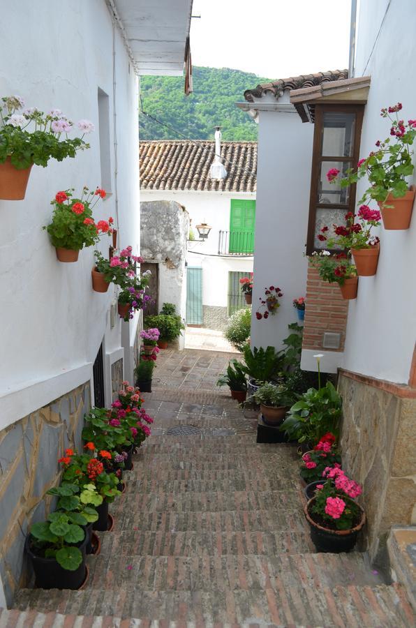 Casa La Puente Villa Jubrique Buitenkant foto